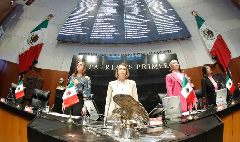 senado de la república Laura Itzel