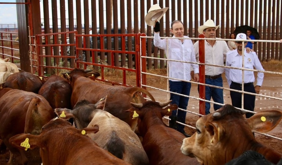Durazo ganado 2 (2)