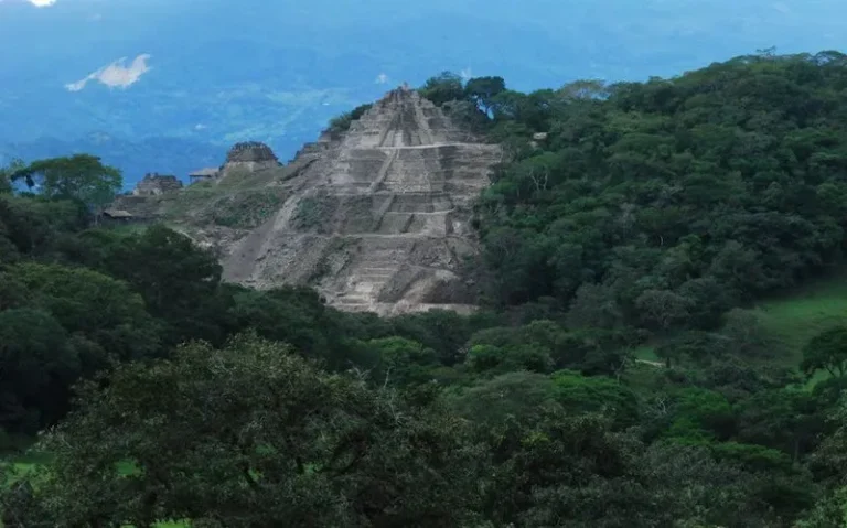Terrenos de conservación