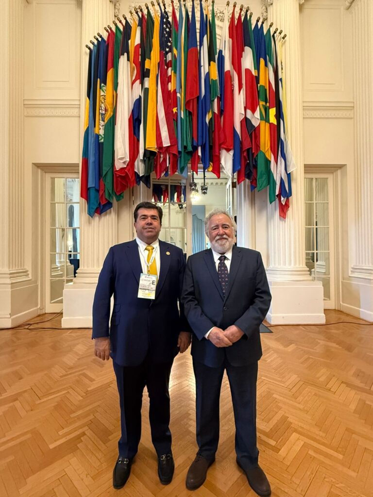 WhatsApp Image 2026-03-17 at 20.08.11