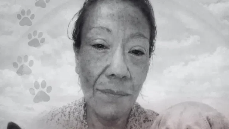 de93ef34-1fb3-47b2-a3b3-d60e3eb96f45