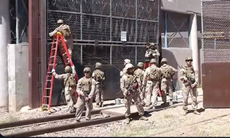 gringos invasores Nogales