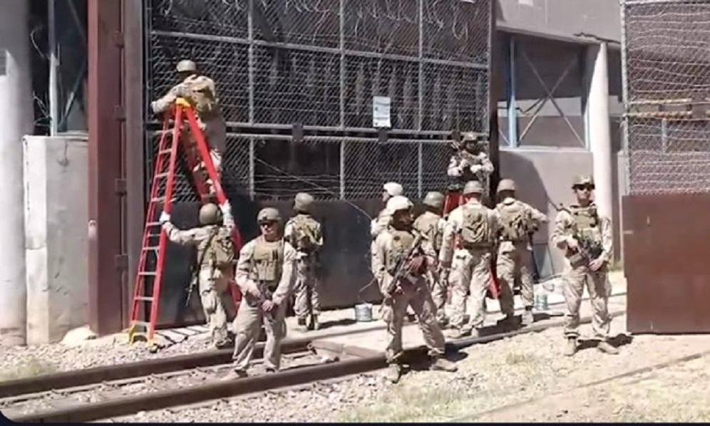 gringos invasores Nogales