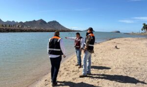 Declaran aptas playas de San Carlos previo a Semana Santa tras monitoreo sanitario