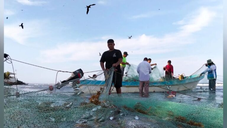 Hidrocarburo y sargazo paralizan pesca en Veracruz- 200 pescadores afectados en Alvarado