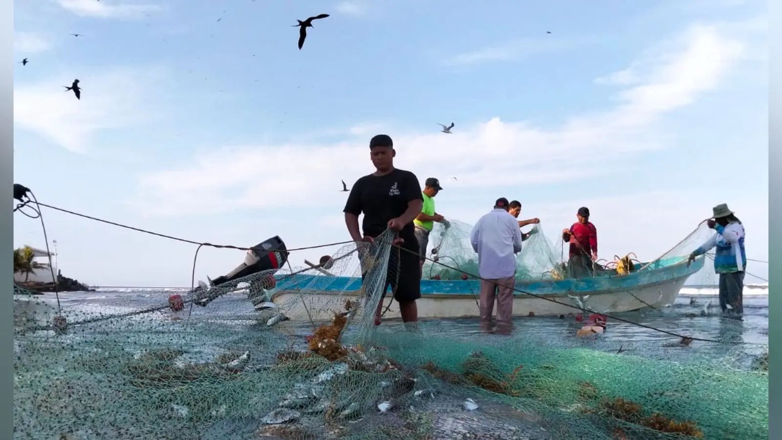 Hidrocarburo y sargazo paralizan pesca en Veracruz- 200 pescadores afectados en Alvarado