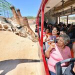 Sonora semana santa turismo