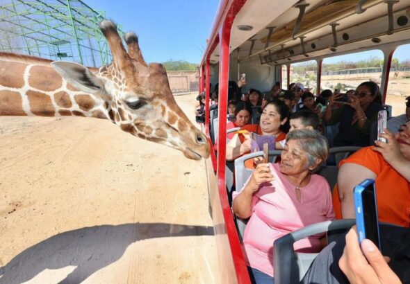 Sonora semana santa turismo