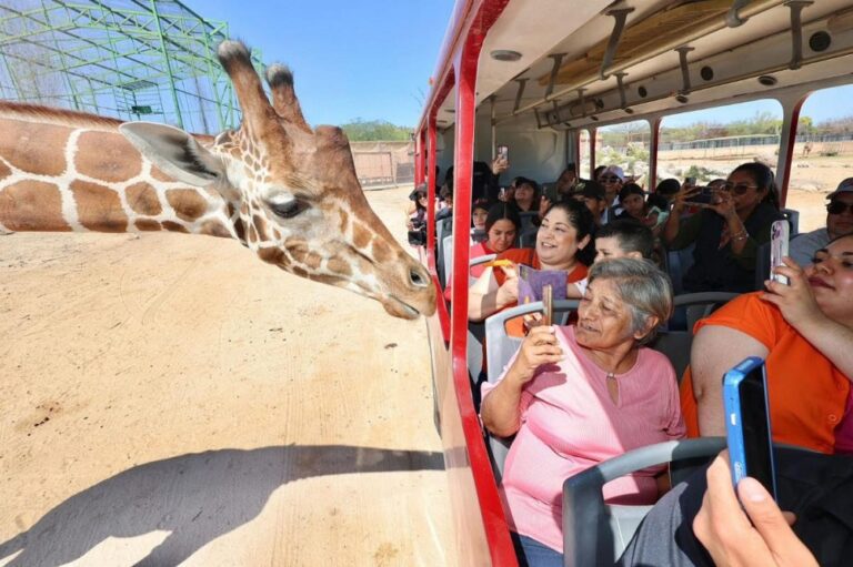 Sonora semana santa turismo
