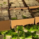 YVQHHZMDJ5AKHGIGT6BS3EMK6Y