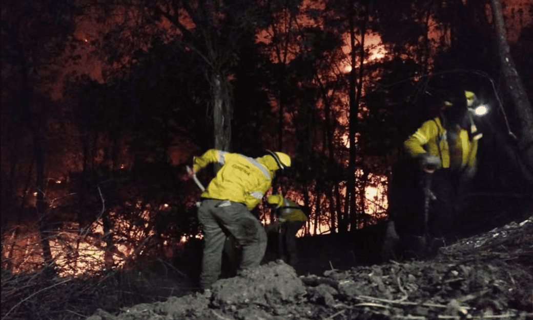 cdmx-lista-con-4-mil-brigadistas-para-combatir-incendios-forestales-7843f426