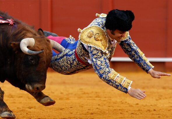 cornada-morante-de-la-puebla-sevilla