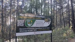 images - 2026-04-23T102613.646