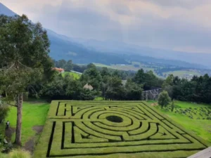 ¿Sin plan estas vacaciones? Recorre los laberintos naturales gratis que esconde la CDMX