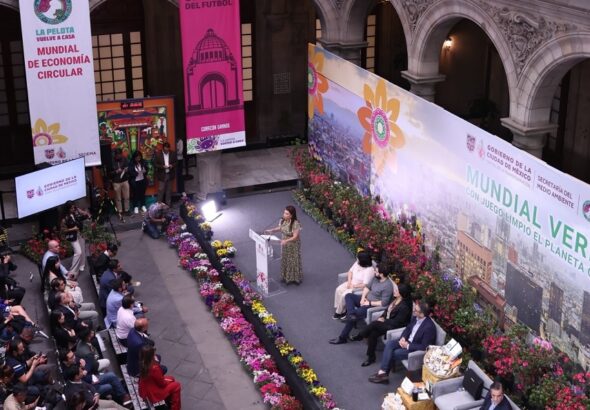 mundial verde Brugada