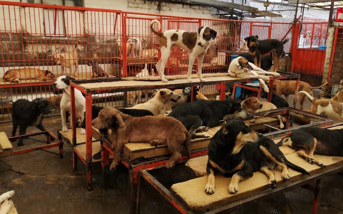 refugio-franciscano-en-cuajimalpa-jorge