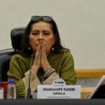 seis-directivos-del-circulo-cercano-de-taddei-aspiran-a-ser-consejeros-del-ine_53b692c5-ab26-4149-beb4-48b48042e157_medialjnimgndimage=fullsize