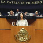 senado