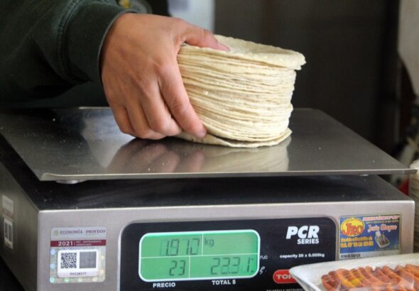 tortillas-roberto-amaya