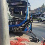 trolebus-090735-1024x576