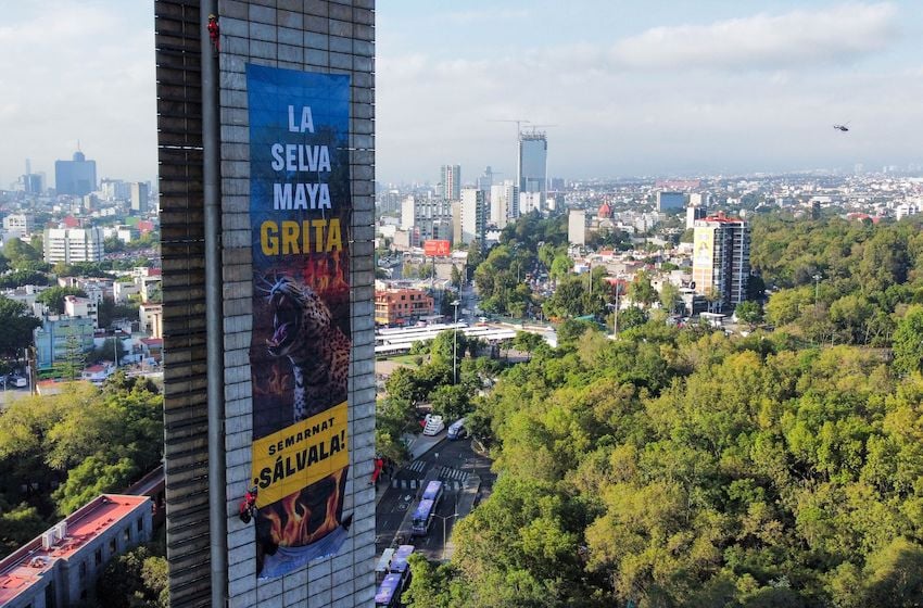 1048830_Protesta-Greenpeace-La-Selva-Grita_impreso