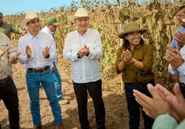 Durazo, campo