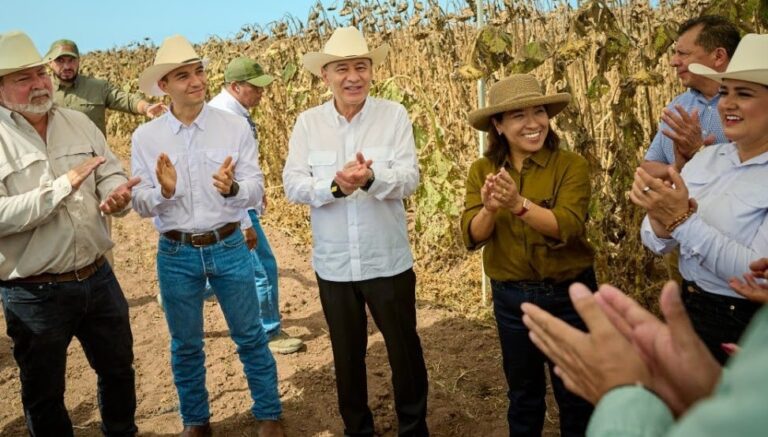 Durazo, campo