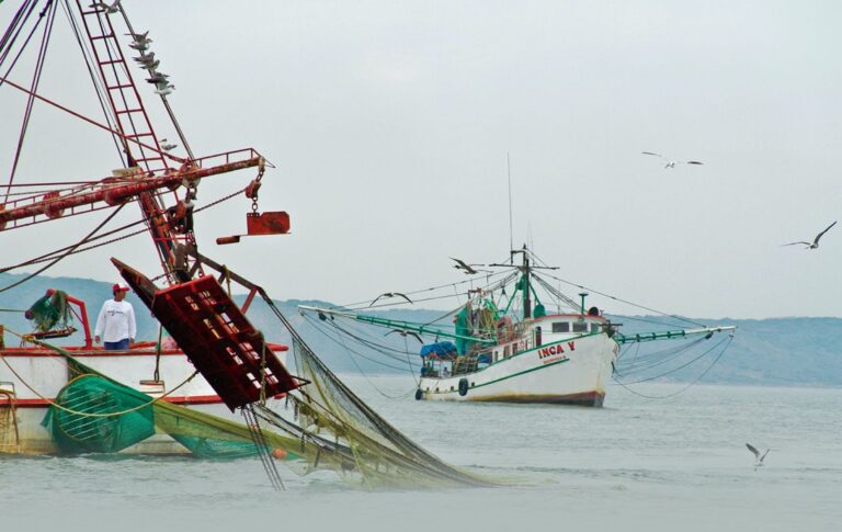 barco camaronero