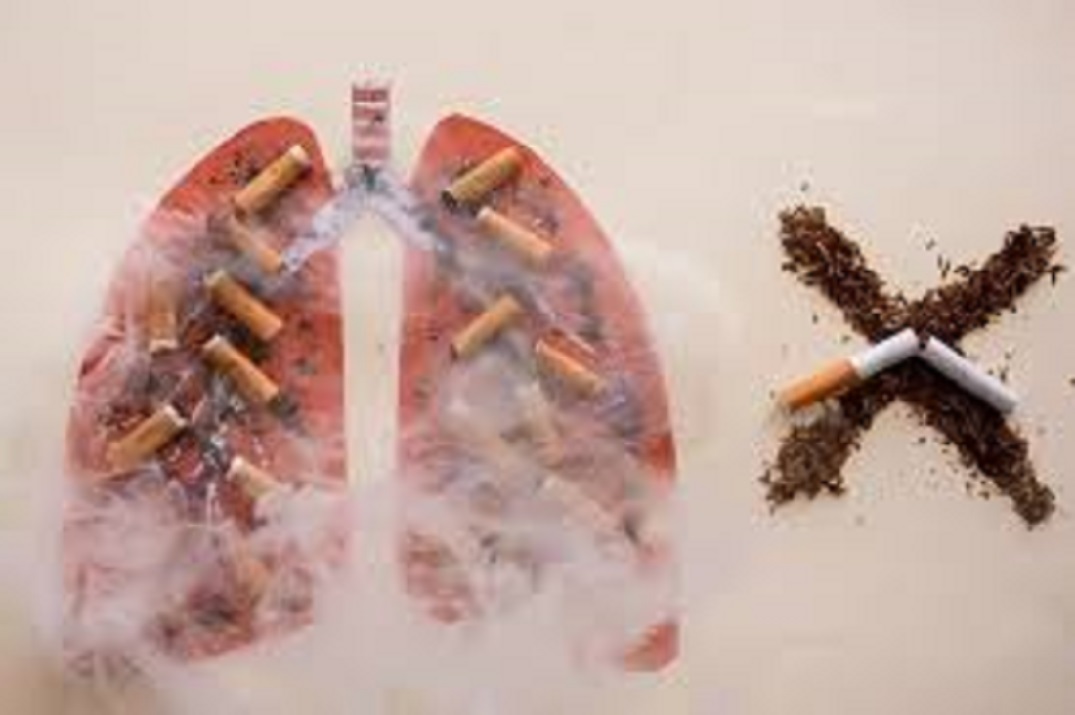 no al tabaco