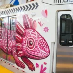 inauguran-en-cdmx-el-tren-ligero-el-ajolote_7039dd05-342f-4c8b-aa6d-68d196f1b999_medialjnredespreviewcrop
