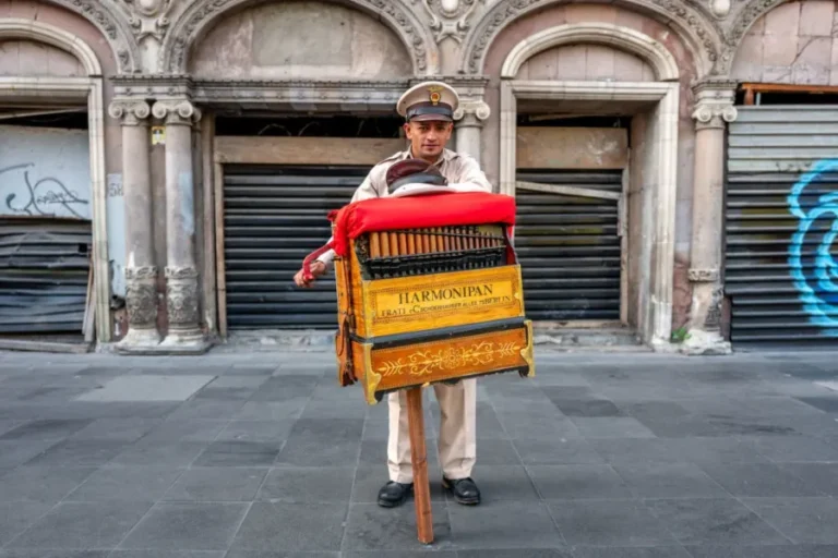 organillero-banner-900x600