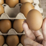 storage of fresh egg for cooking , selection chicken egg