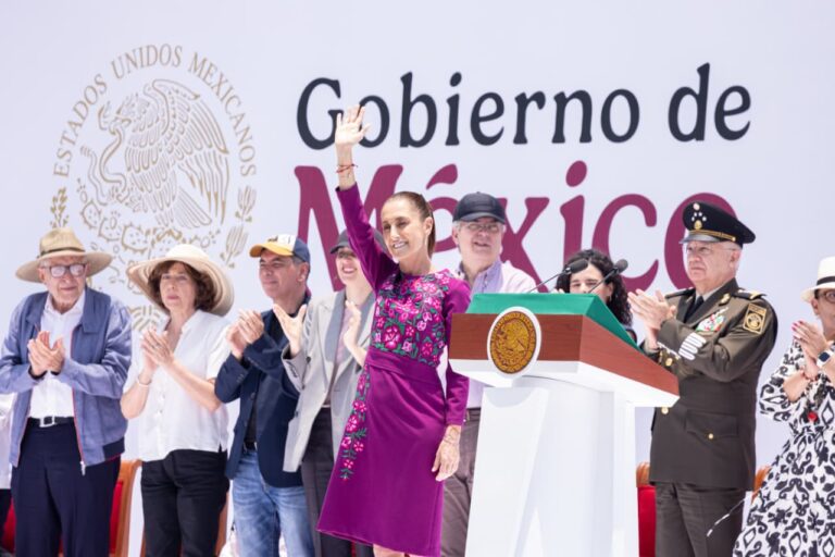 sheinbaun 2do informe 6