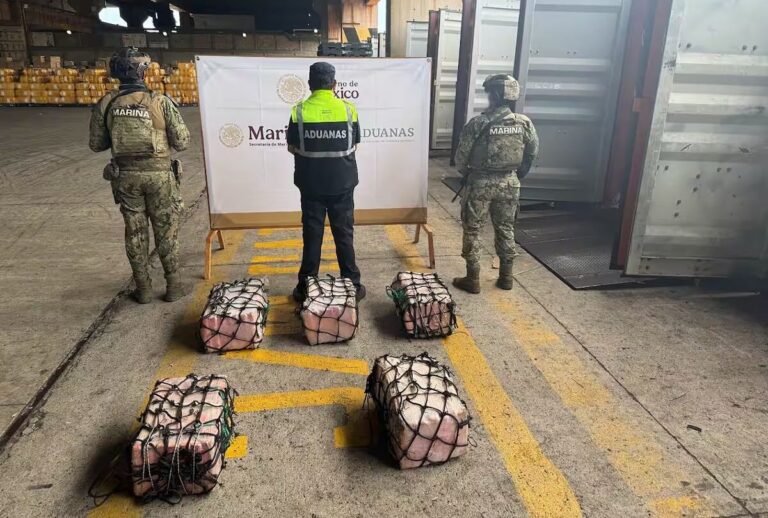 Golpe al narcotráfico- aseguran 137 kilos de cocaína en Michoacán