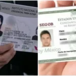 INE-y-CURP-biometrica