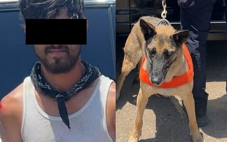 Perro policía