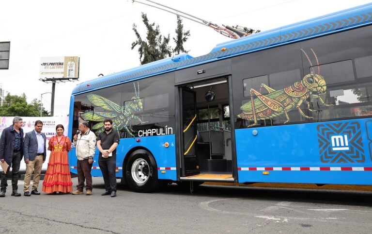 brugada trolebuses
