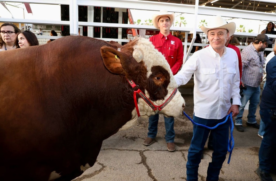 durazo ganadero 2