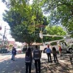 images - 2026-06-26T231744.154