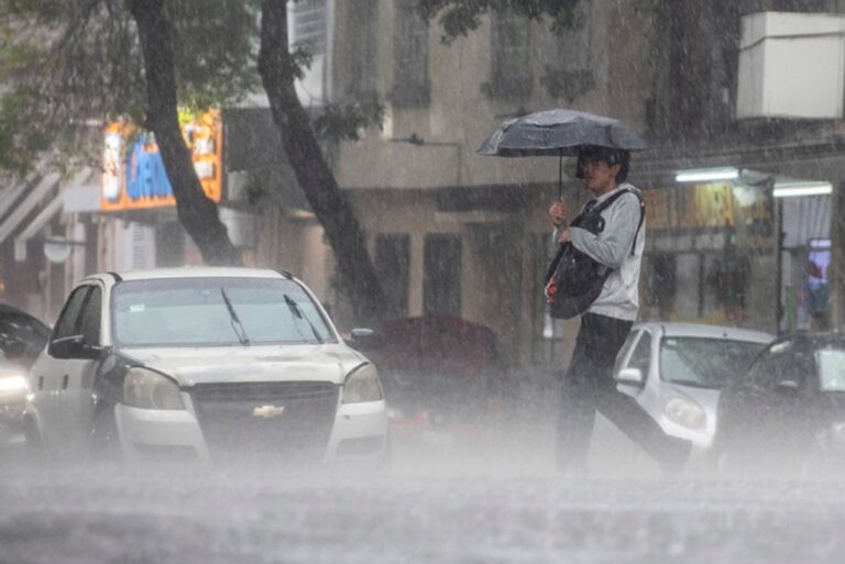lluvia-intensa-en-cdmx-deja-arboles-caidos-cortocircuitos-y-encharcamientos_05897947-5f0f-47dc-862f-ccc3d9496869_mediarawimage=true
