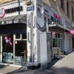 spa-pet-declaraba-estetica-canina