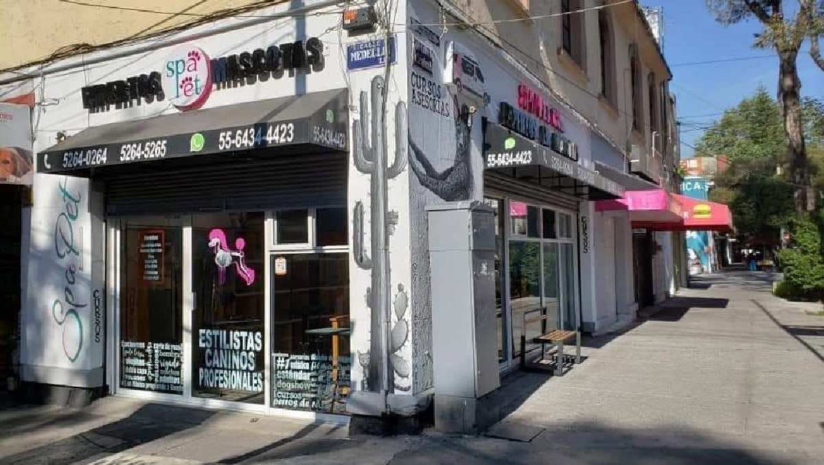 spa-pet-declaraba-estetica-canina