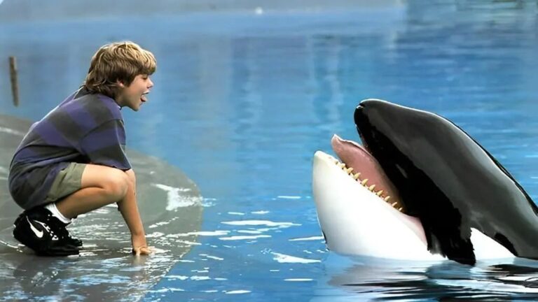 Confirman una nueva película de 'Liberen a Willy'; conoce los detalles