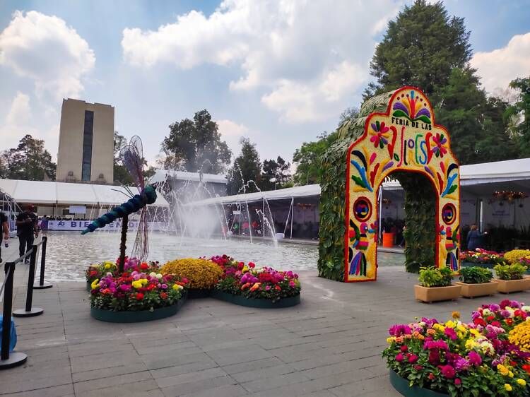 Qué hacer en CDMX este fin de semana- 5 planes imperdibles