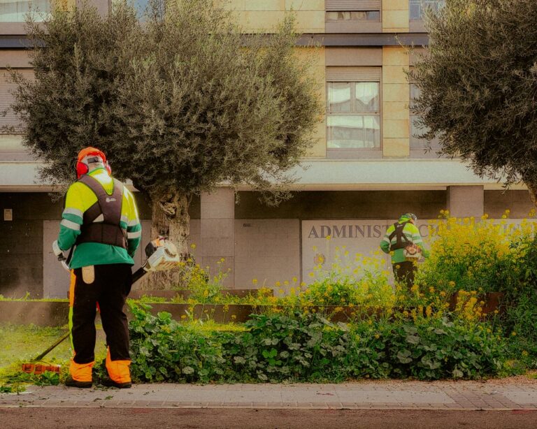 gentrificacion 2