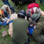 tigre-bengala-tepetlaoxtoc-eomex-02072026