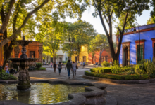 Plaza arbolada de Coyoacán con fuente y arquitectura histórica al amanecer