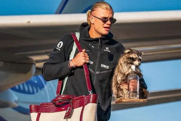 ¿Qué hace con un mapache? Haaland regresa a Noruega con un inesperado acompañante1