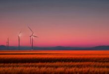 Aerogeneradores a lo lejos sobre una planicie de pasto seco bajo un cielo rojizo al atardecer