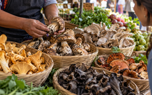 Hongos comestibles en un mercado, para una nota sobre cocina de temporada y procedencia